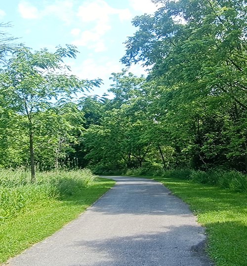 park walk