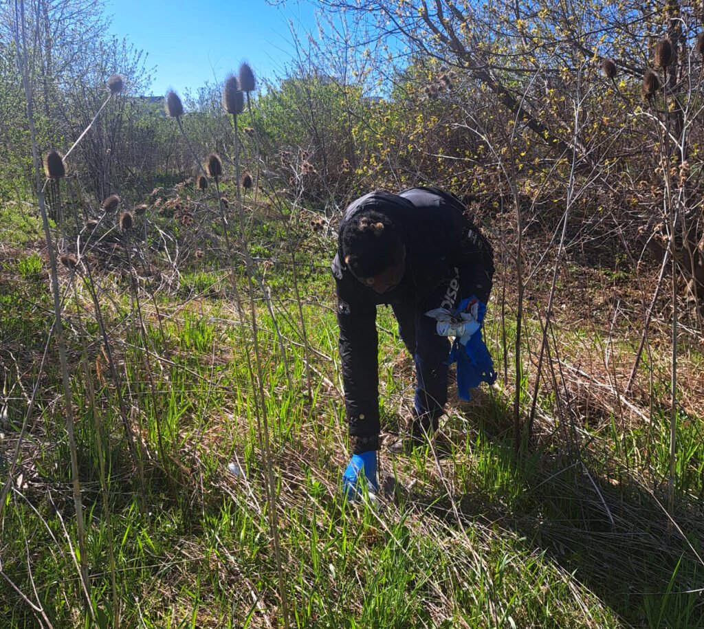 Community members preventing plastic pollution in Toronto