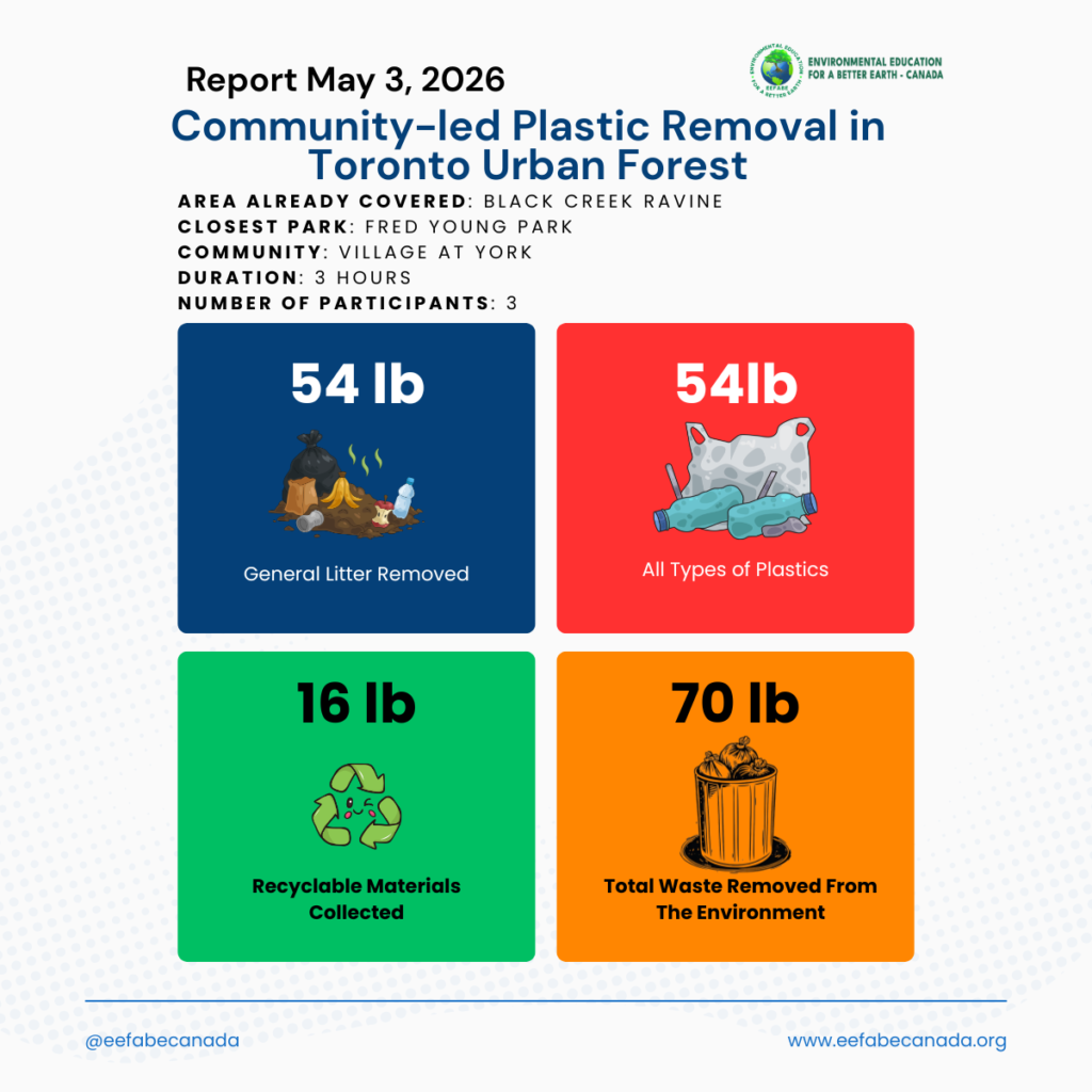 plastic removal report
