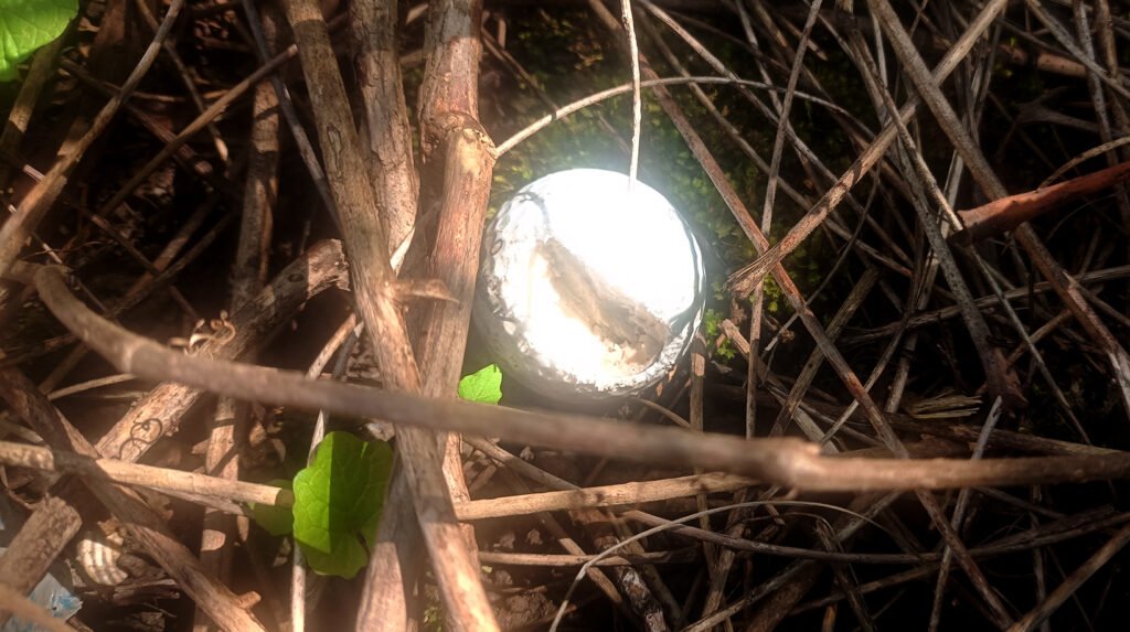 Black Creek Parkland Forest Cleanup Report of a golf ball chewed by animals in the forest