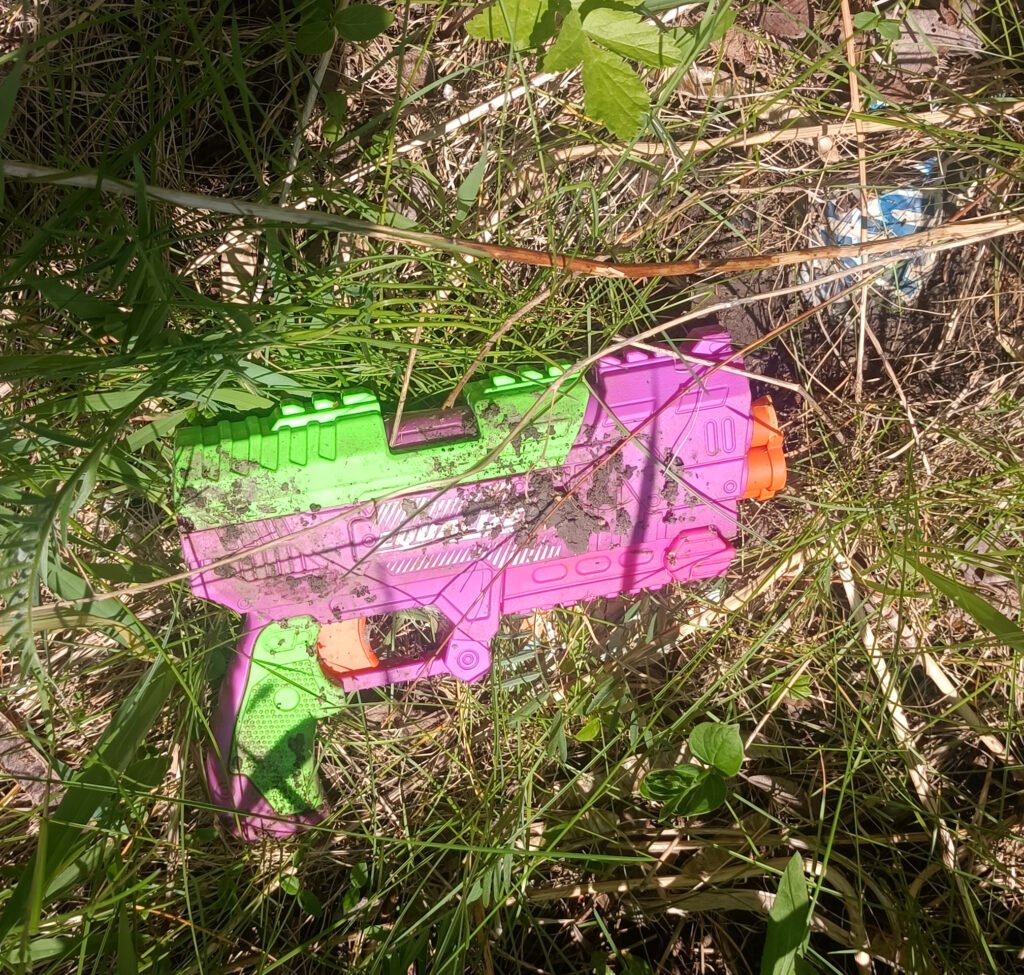 black creek parkland forest cleanup report