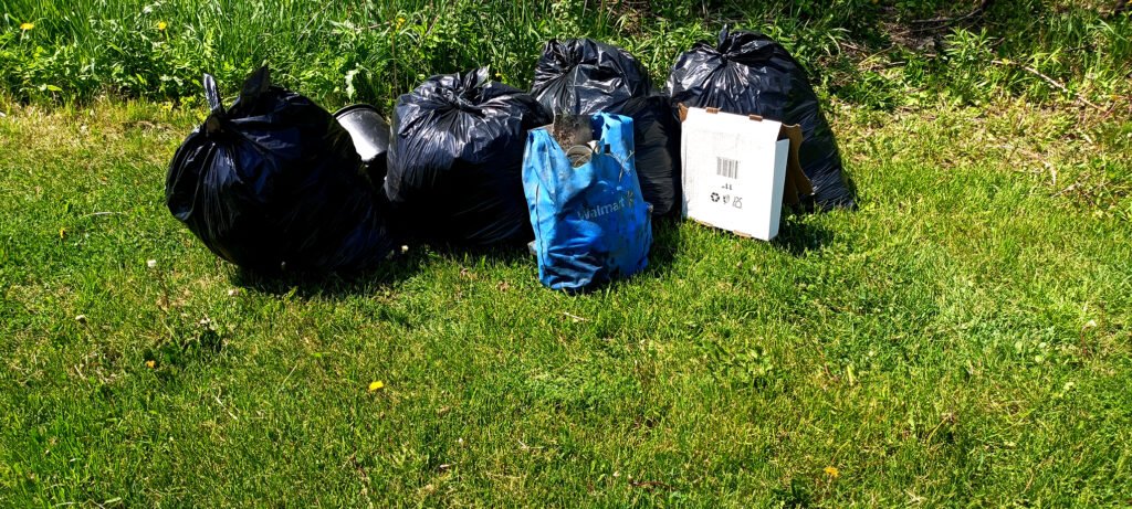 black creek parkland forest cleanup report