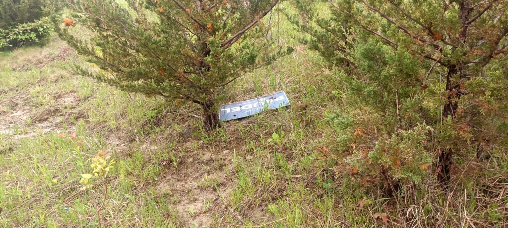 election postal seen in the forest.jpg Election postal seen during May 24: Black Creek parkland forest Cleanup report