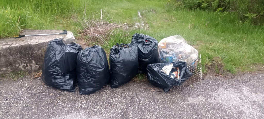 sorted litter for may 24th by EEFABECanada.jpg May 24: Black Creek parkland forest Cleanup report