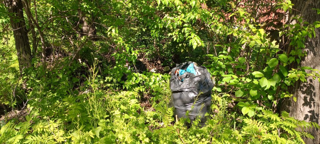 Driftwood Park Cleanup Report