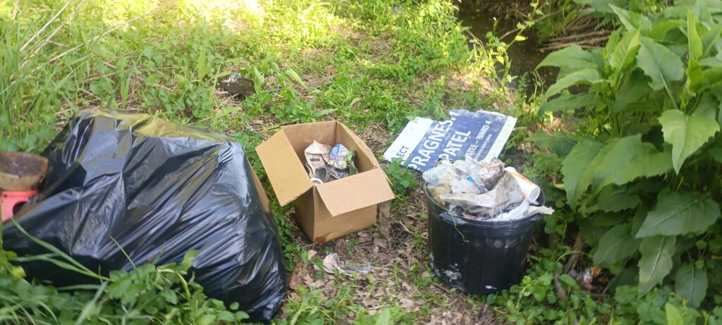 Driftwood Park Cleanup Report