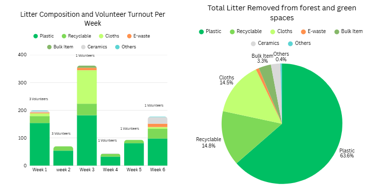 ravine cleanup report