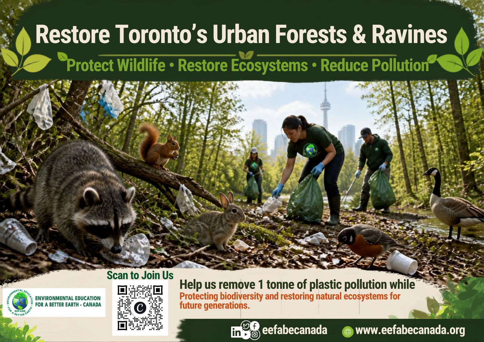 Urban Forests and Ravines